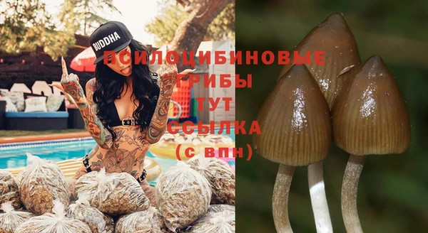 ешки Богородицк