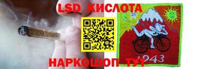 индика Апшеронск