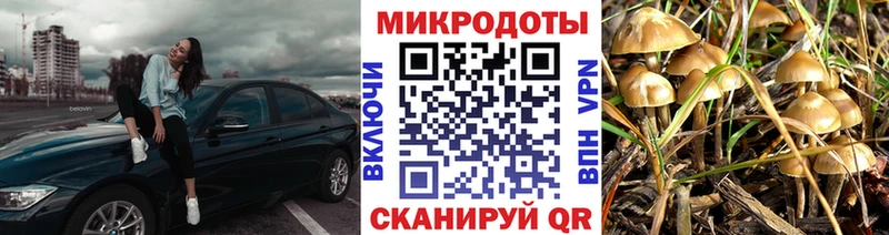 Псилоцибиновые грибы MAGIC MUSHROOMS  kraken вход  Волжский 