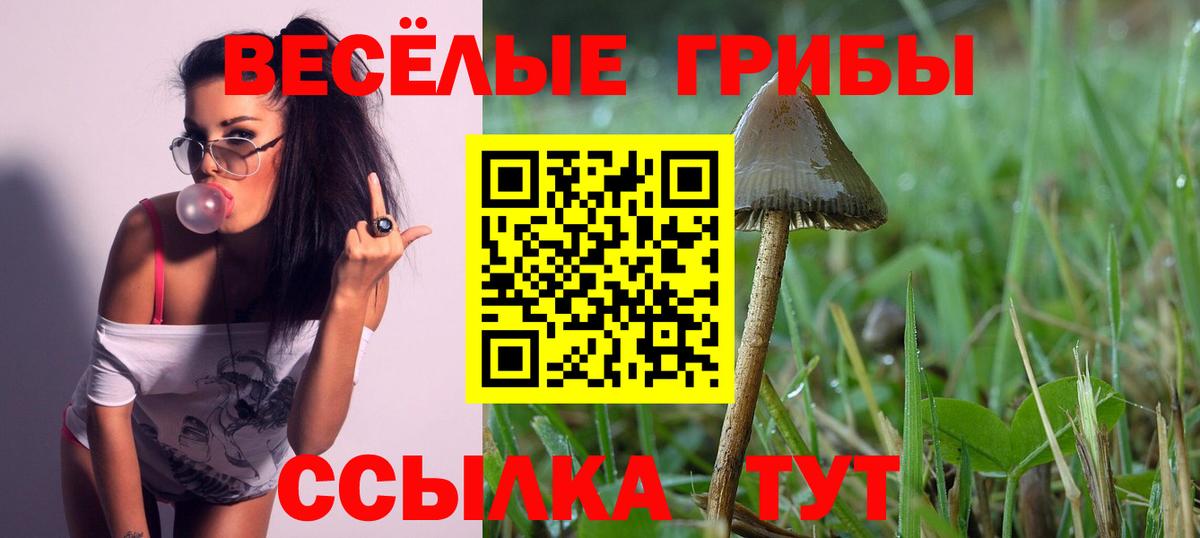 Волжский  Псилоцибиновые грибы Psilocybe  Вход с VPN 